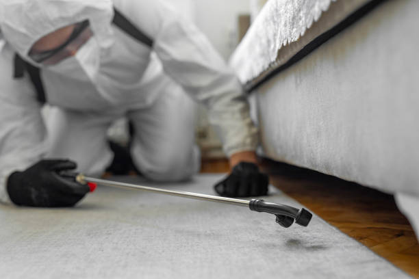 Professional Wasp Control technician working in New London, IA
