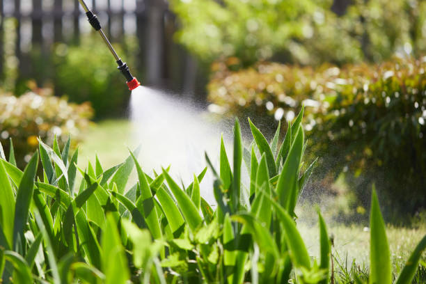 24/7 Emergency Emergency Pest Control experts in New London, IA