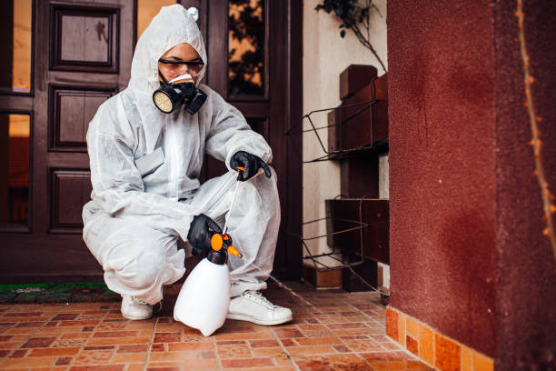 Reliable Emergency Pest Control contractor in New London, IA by Nex Pest Control