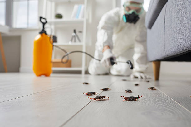 Trusted Fumigation Services service in New London, IA - Nex Pest Control