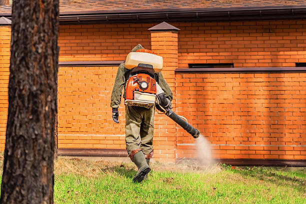 Trusted Rodent Control service in New London, IA - Nex Pest Control